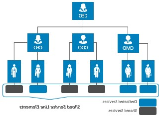 Chart of siloed service line elements